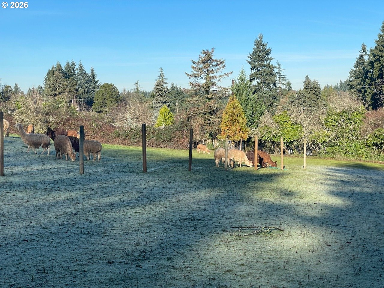 12101 NW 17TH AVE, Vancouver, ,Land,For Sale,17TH,0,123968532