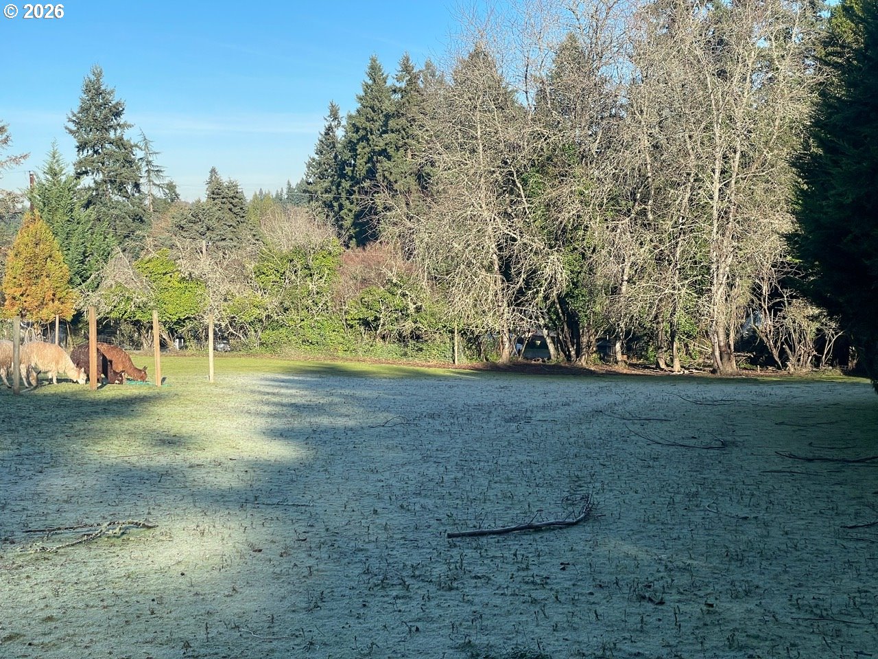 12101 NW 17TH AVE, Vancouver, ,Land,For Sale,17TH,0,123968532