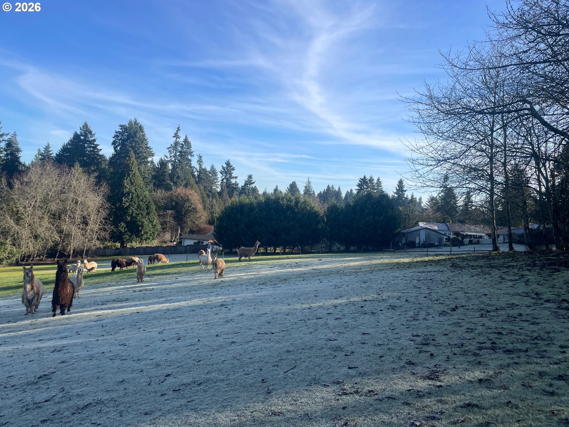 12101 NW 17TH AVE, Vancouver, ,Land,For Sale,17TH,0,123968532