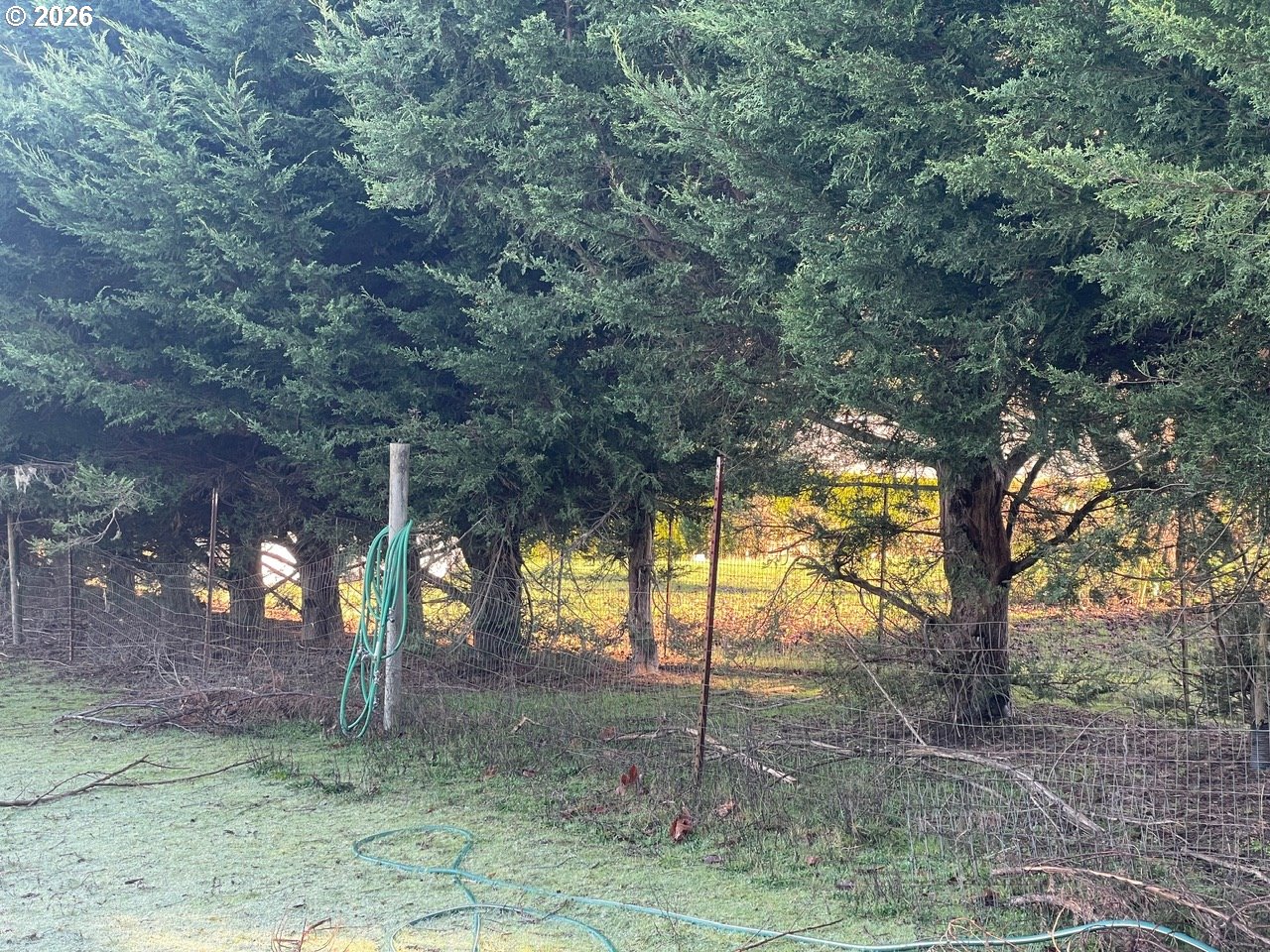 12101 NW 17TH AVE, Vancouver, ,Land,For Sale,17TH,0,123968532