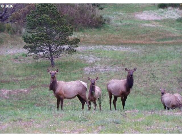 00 Pinehurst RD UNIT 38, Gearhart, OR, 97138