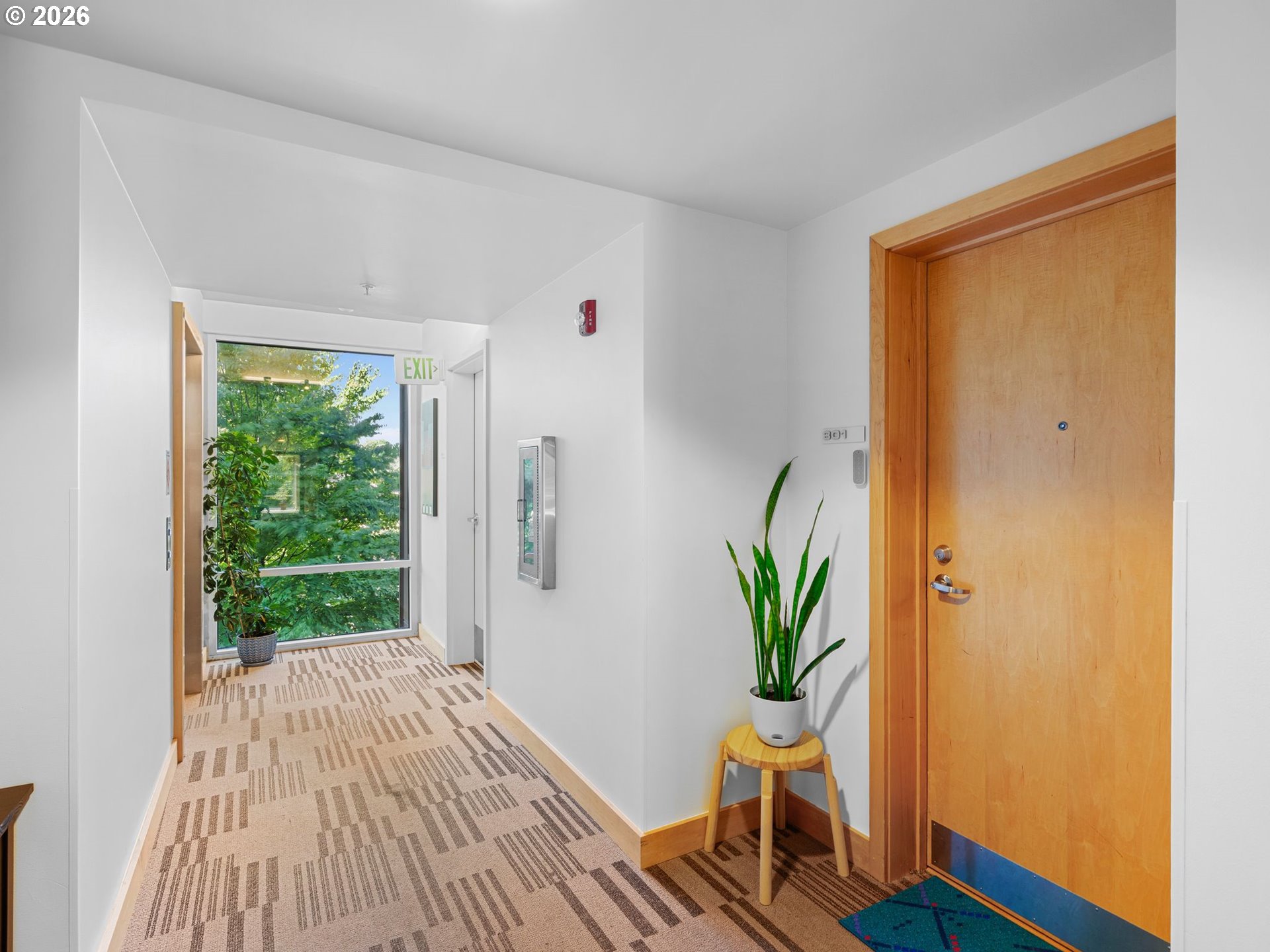 Photo #11: 125763616 Listing: Photo #11