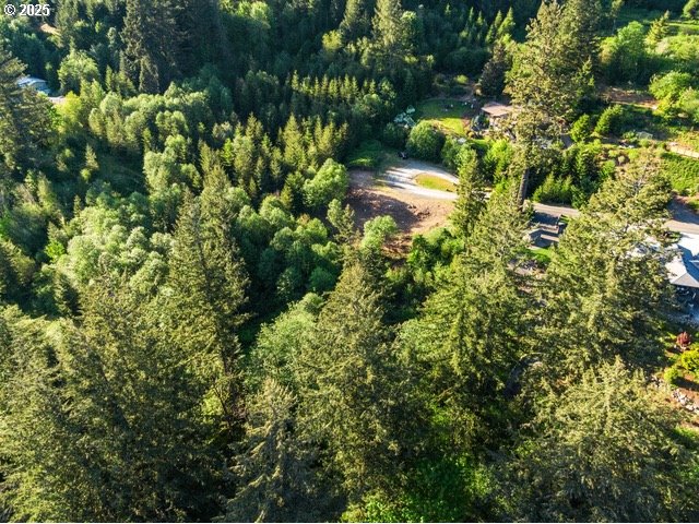 00 Thompson DR, Washougal, 3 Bedrooms Bedrooms, ,4.1 BathroomsBathrooms,Residential,For Sale,Thompson,0,126125014