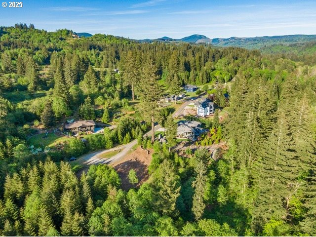 00 Thompson DR, Washougal, 3 Bedrooms Bedrooms, ,4.1 BathroomsBathrooms,Residential,For Sale,Thompson,0,126125014