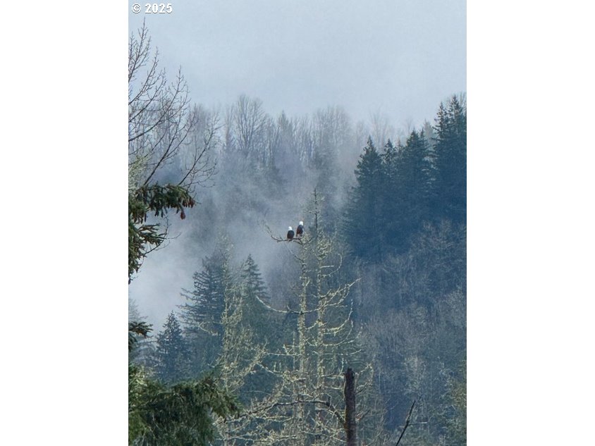 00 Thompson DR, Washougal, 3 Bedrooms Bedrooms, ,4.1 BathroomsBathrooms,Residential,For Sale,Thompson,0,126125014