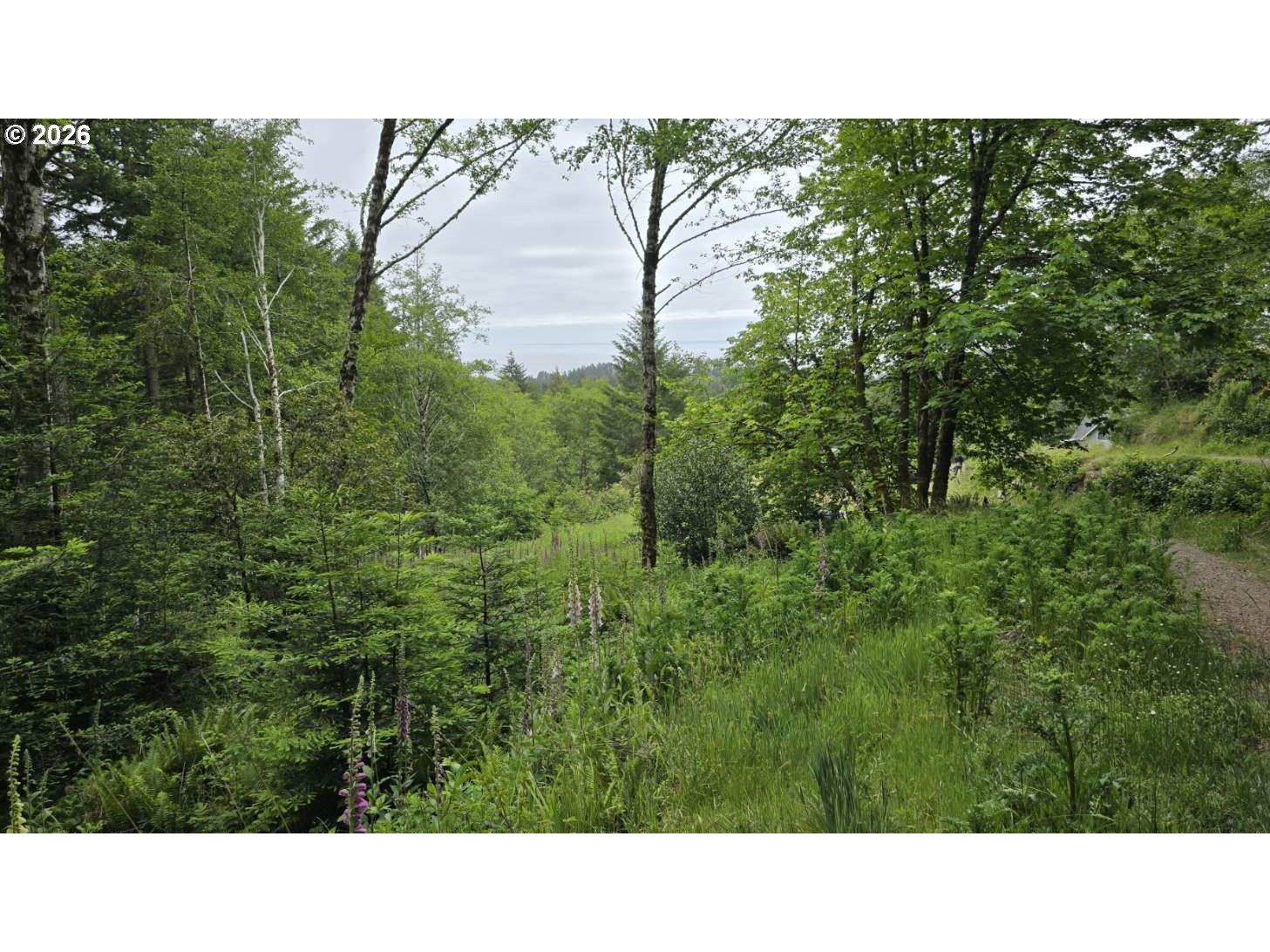 Search Homes for Sale