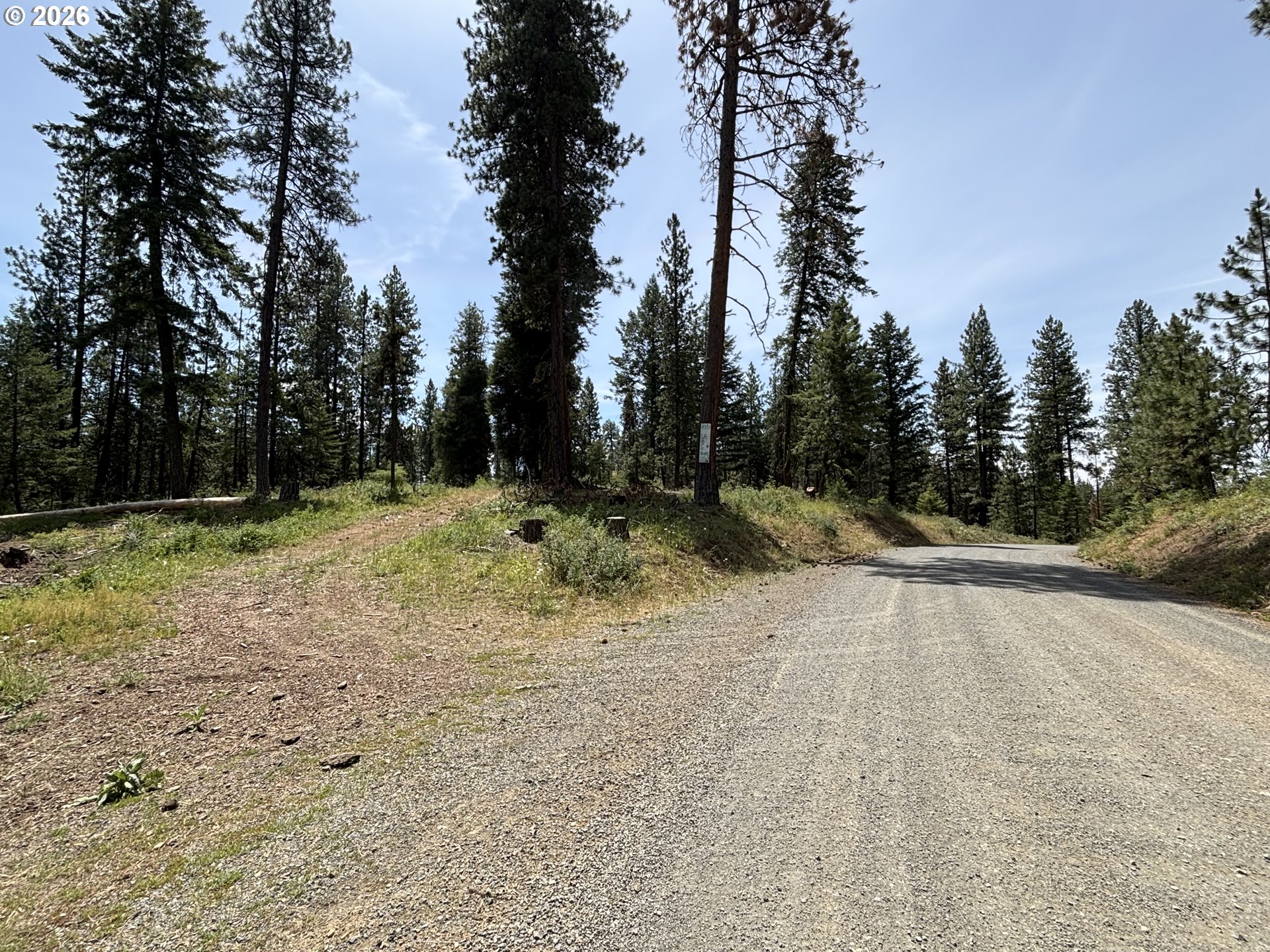 Sparta Rd