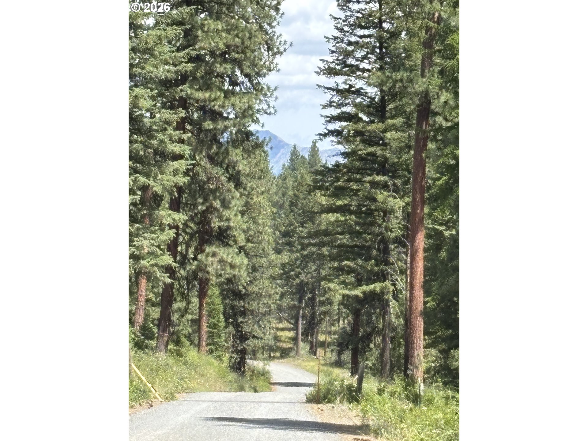 Sparta Rd