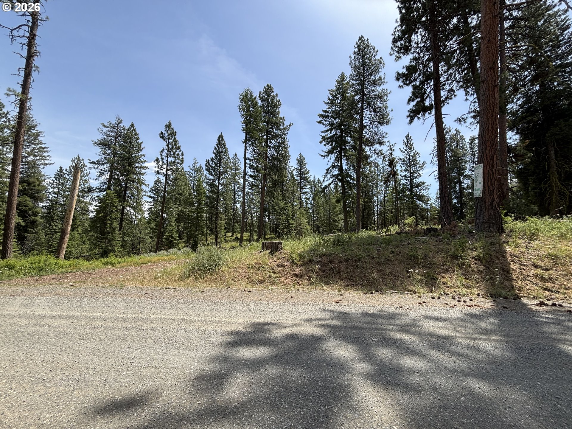 Sparta Rd