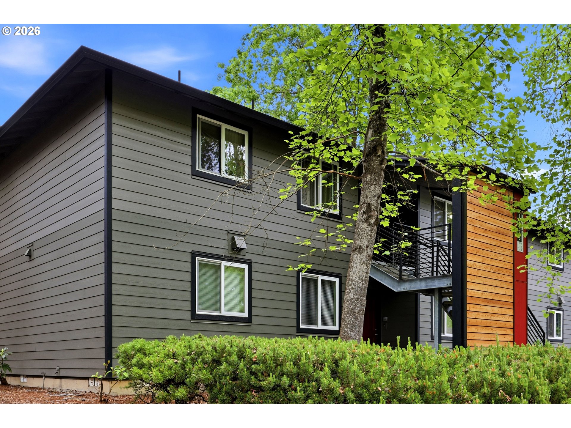 Photo #5: 127269440 Listing: Photo #5