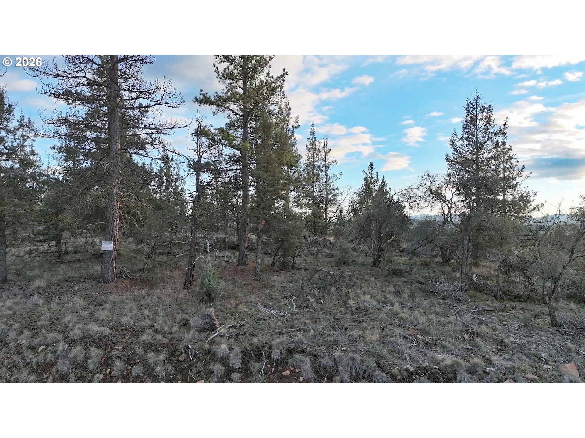 Search Homes for Sale