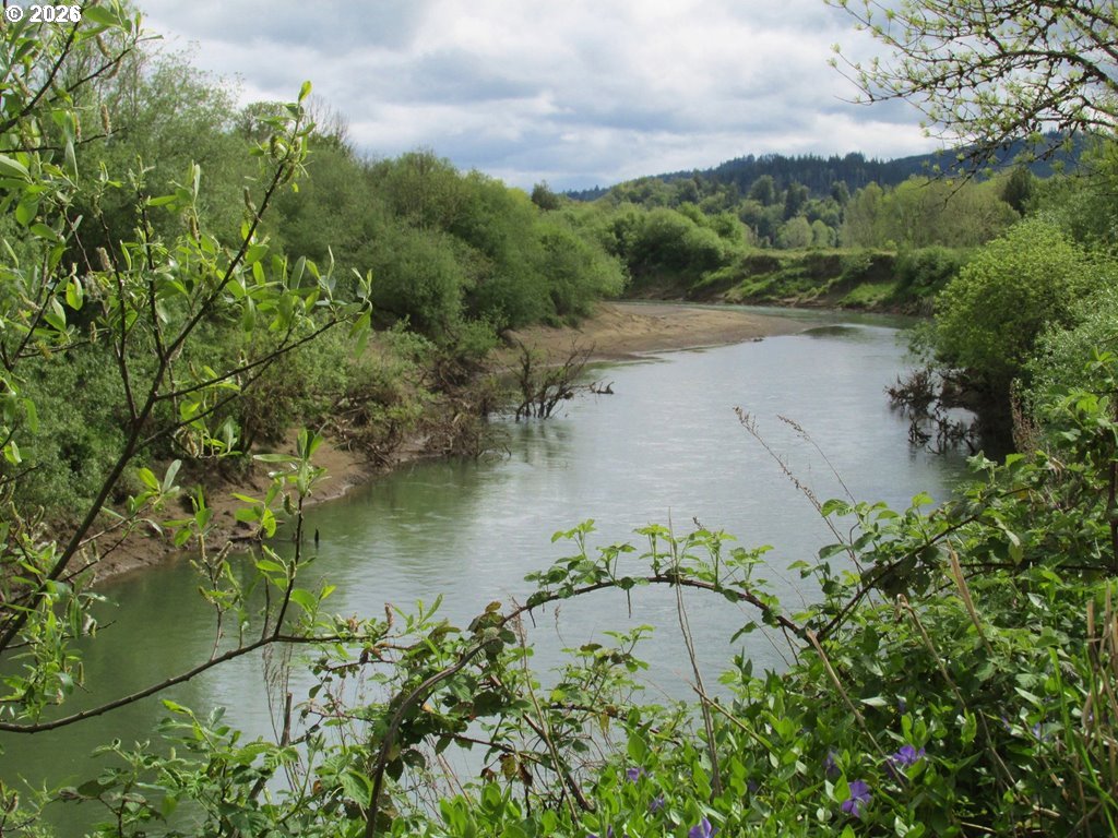 Search Homes for Sale