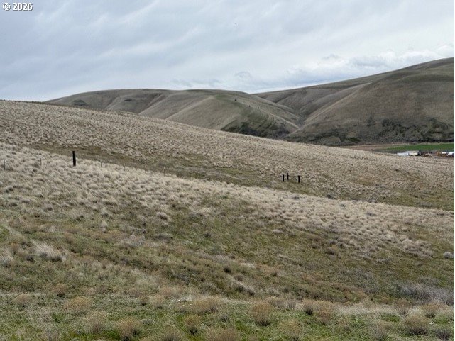 Mary LN, Ione, OR, 97843