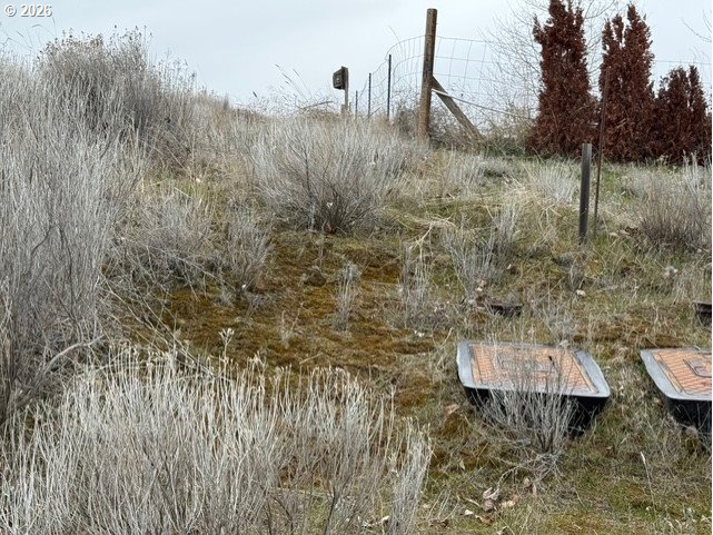 Mary LN, Ione, OR, 97843