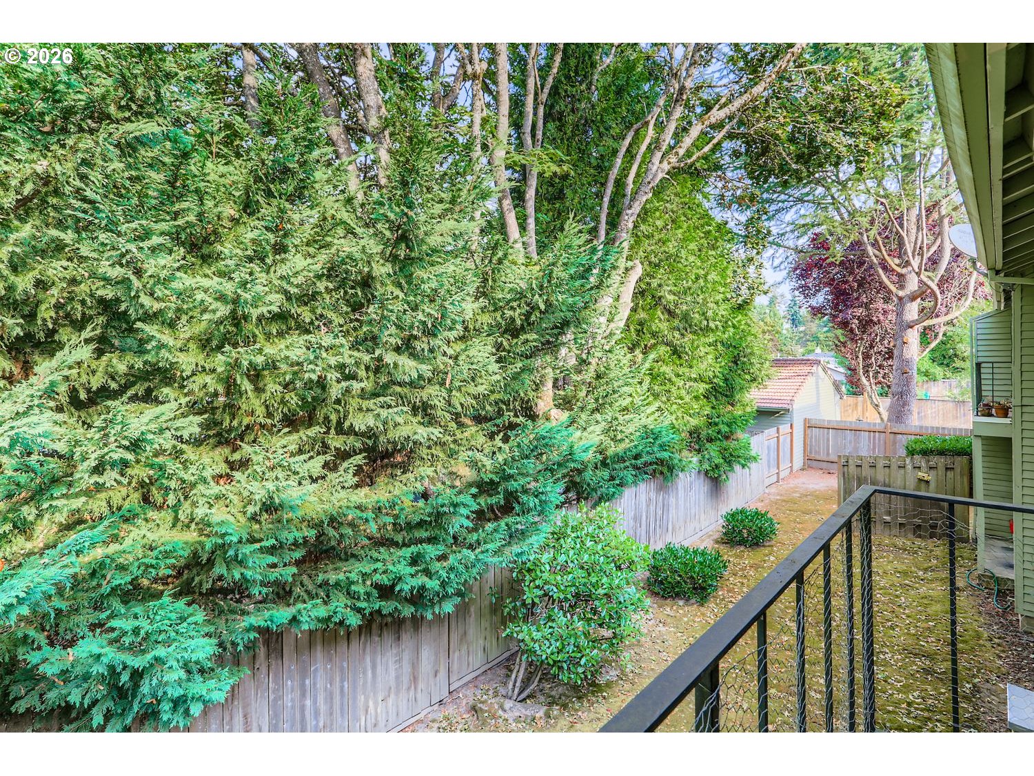 Photo #5: 128090461 Listing: Photo #5