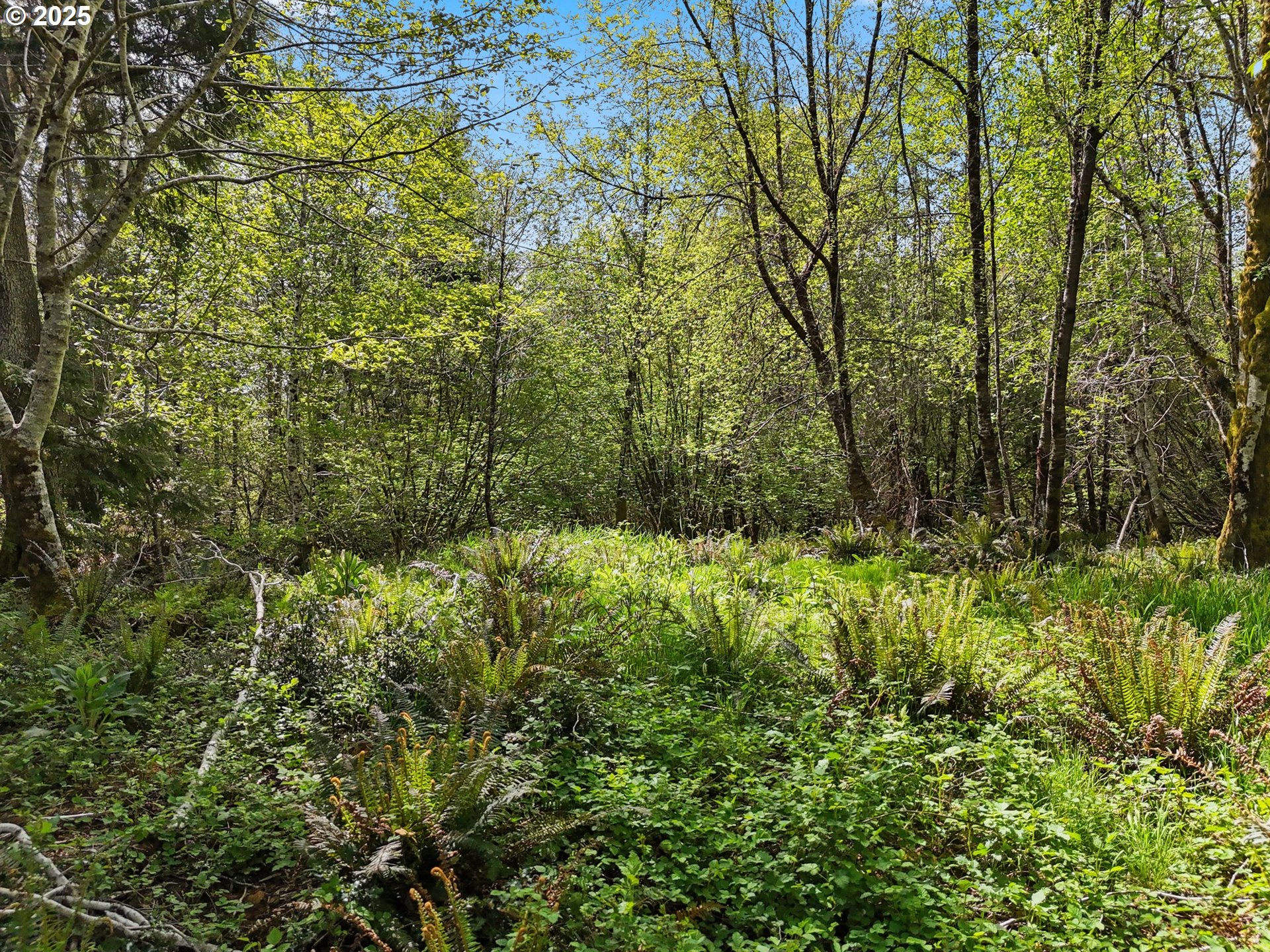 Search Homes for Sale