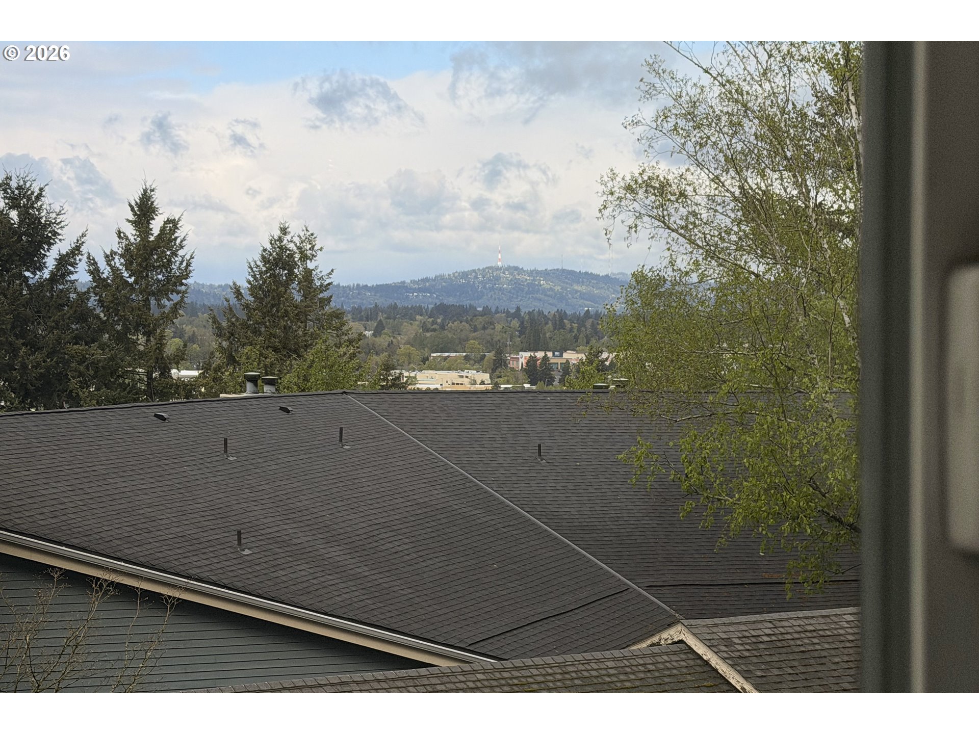 Photo #8: 131350971 Listing: Photo #8