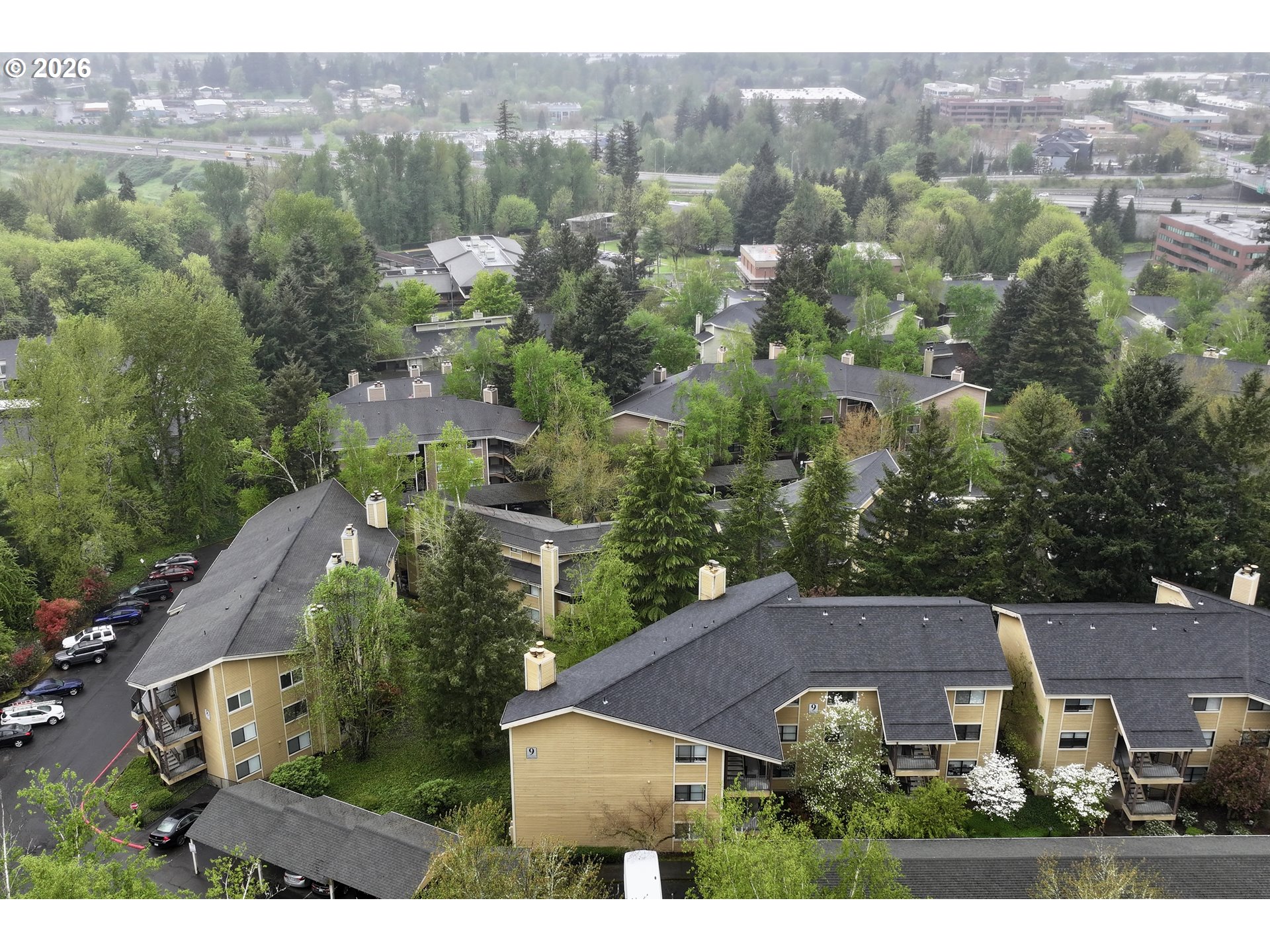 Photo #2: 131350971 Listing: Photo #2