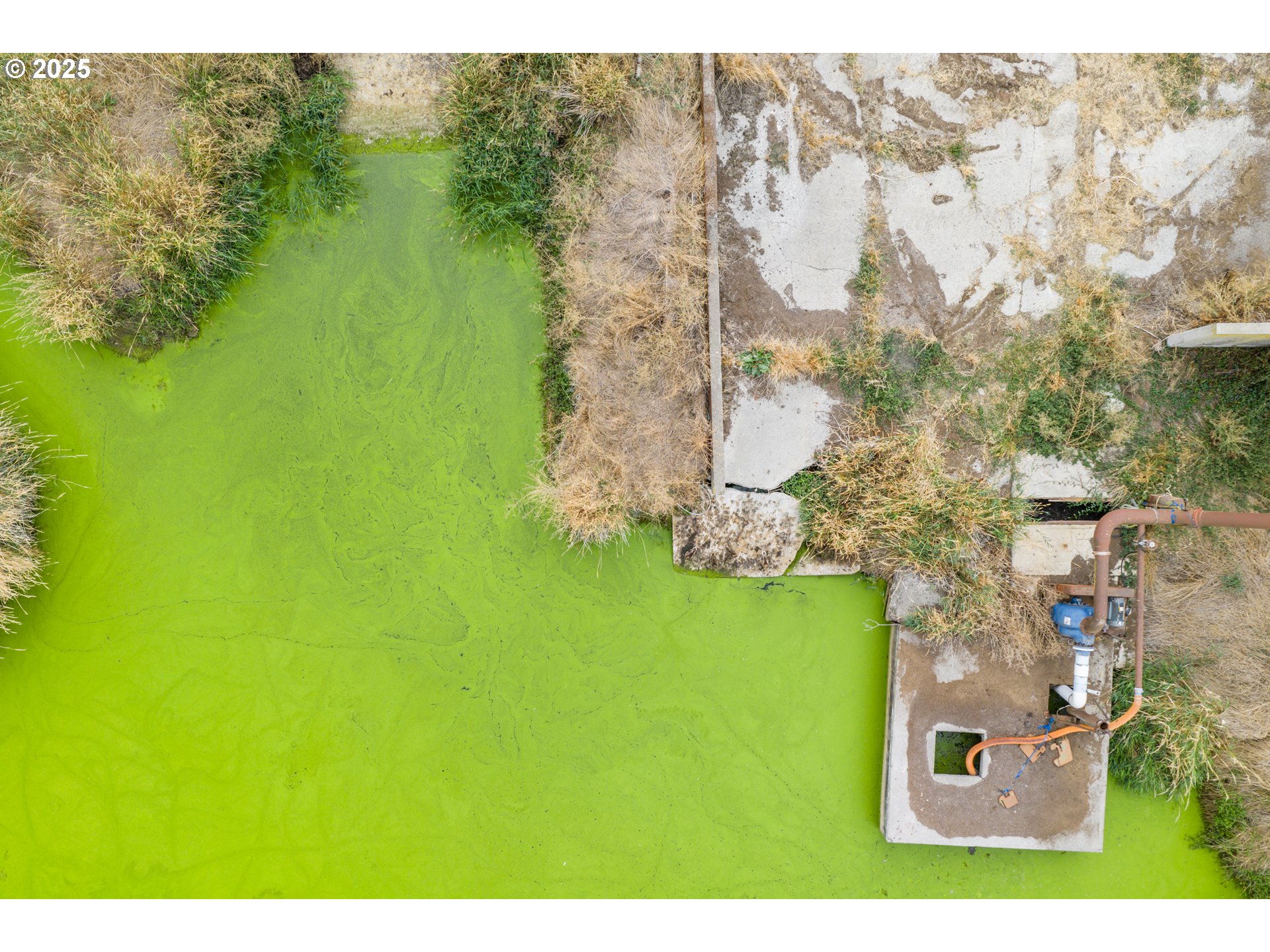 6629 CHAMPOEG (Next To) RD, St Paul, OR, 97137