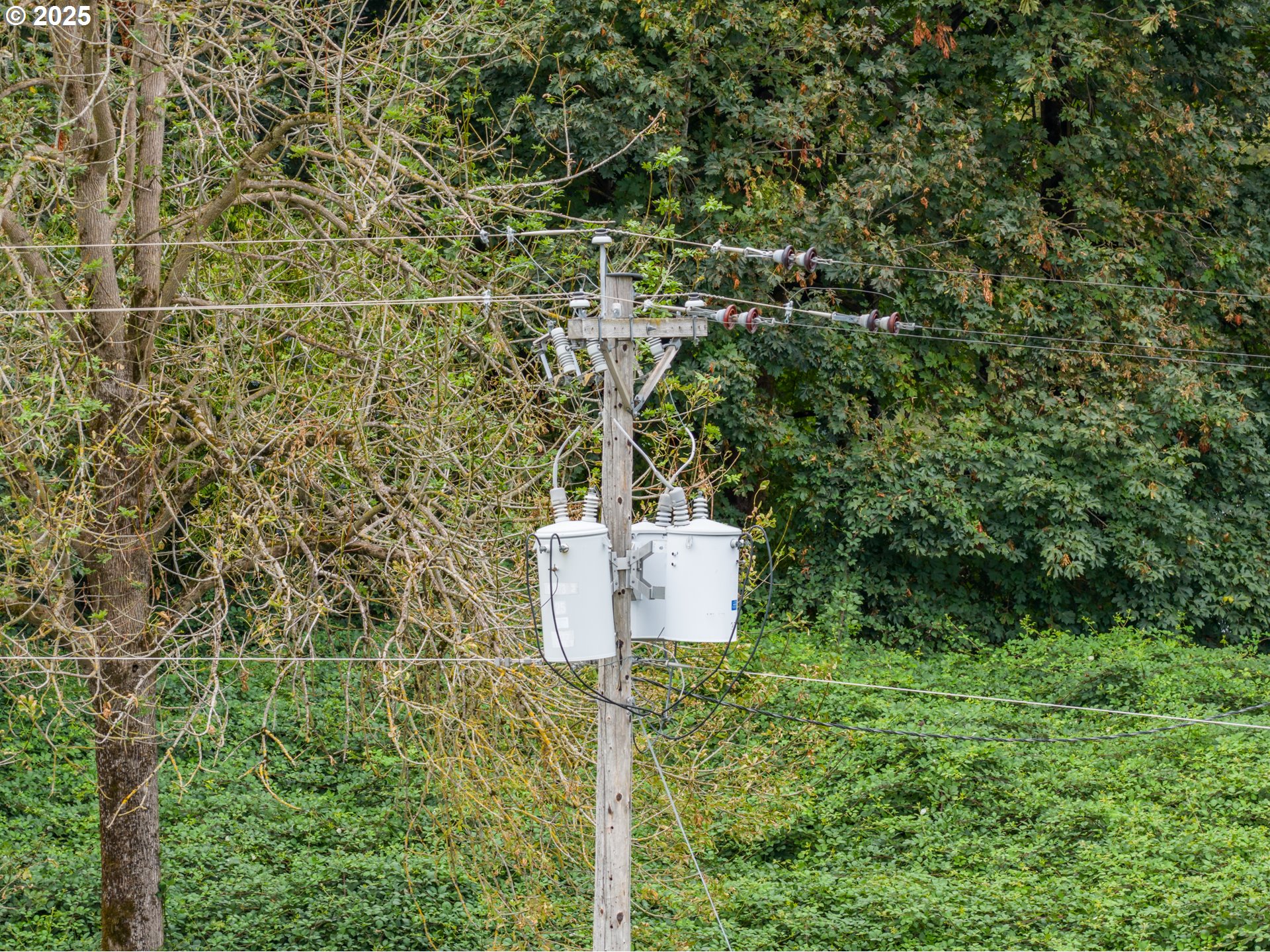 6629 CHAMPOEG (Next To) RD, St Paul, OR, 97137