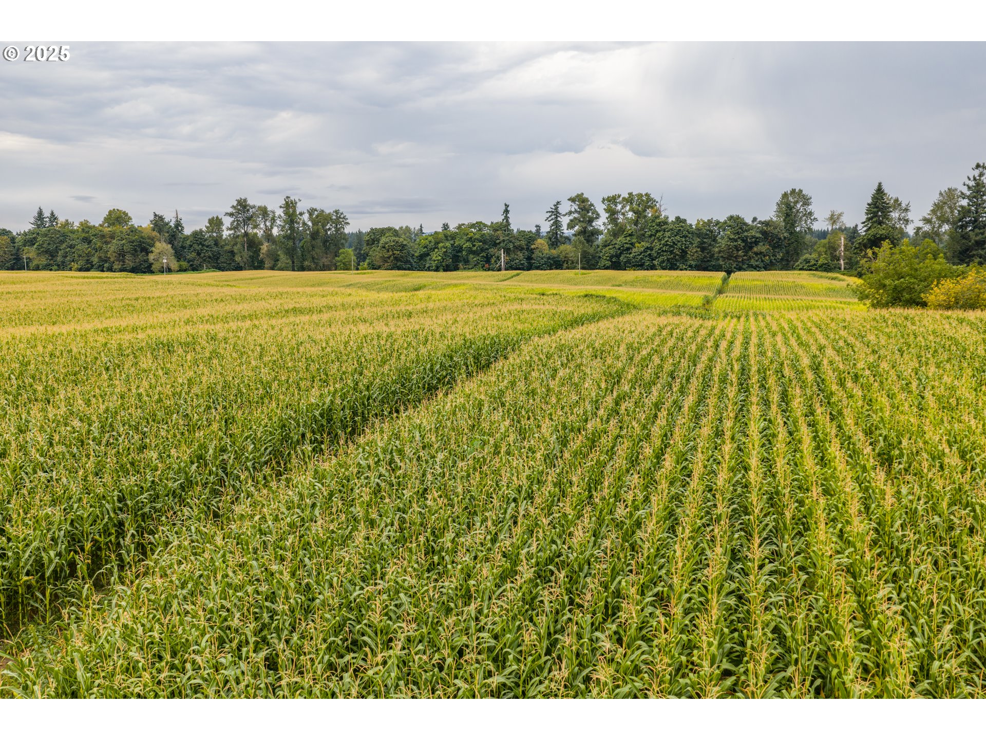 6629 CHAMPOEG (Next To) RD, St Paul, OR, 97137