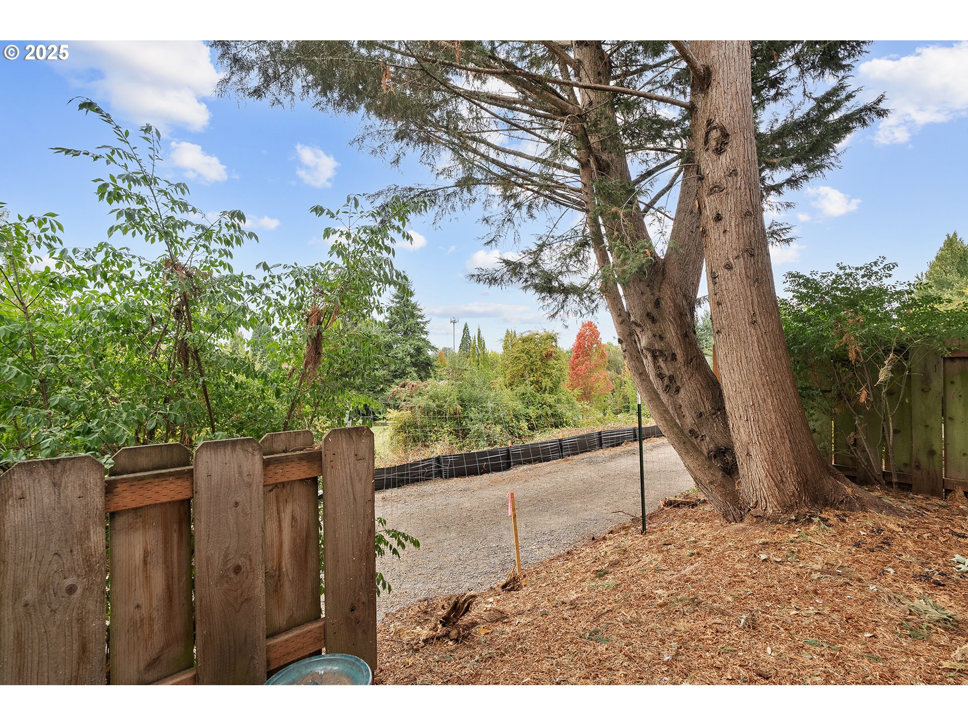 Photo #31: 133189428 Listing: Photo #31