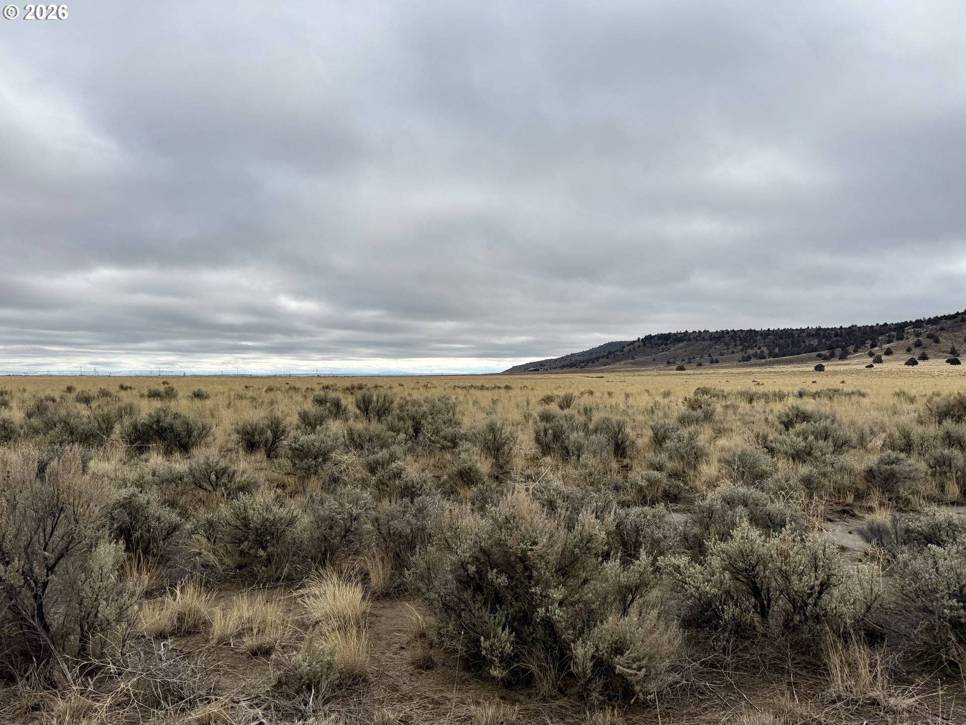 31597 DOG MOUNTAIN LN, Burns, OR, 97720