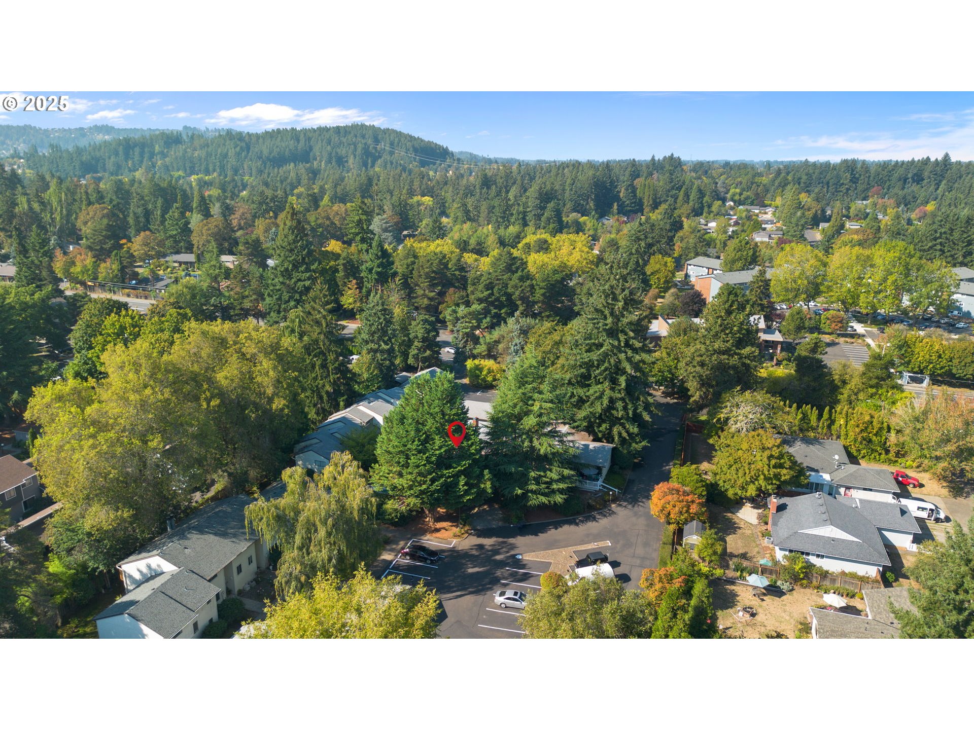 Photo #3: 134969798 Listing 