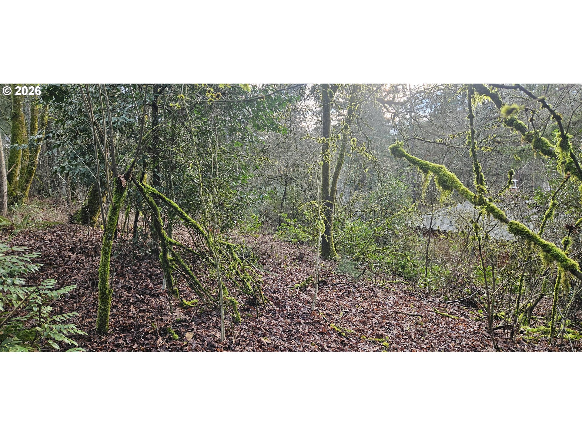 18300 BRYANT RD, Lake Oswego, OR, 97034