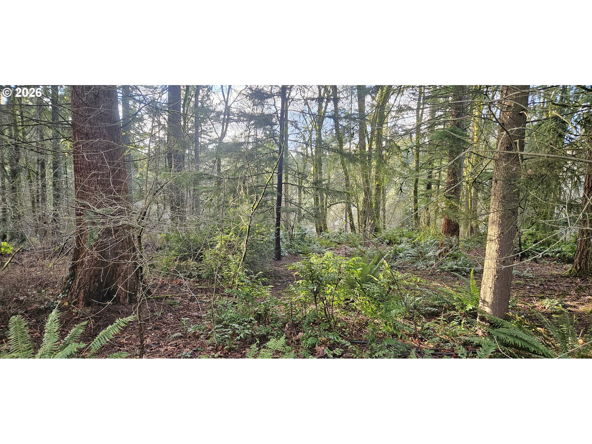 18300 BRYANT RD, Lake Oswego, OR, 97034