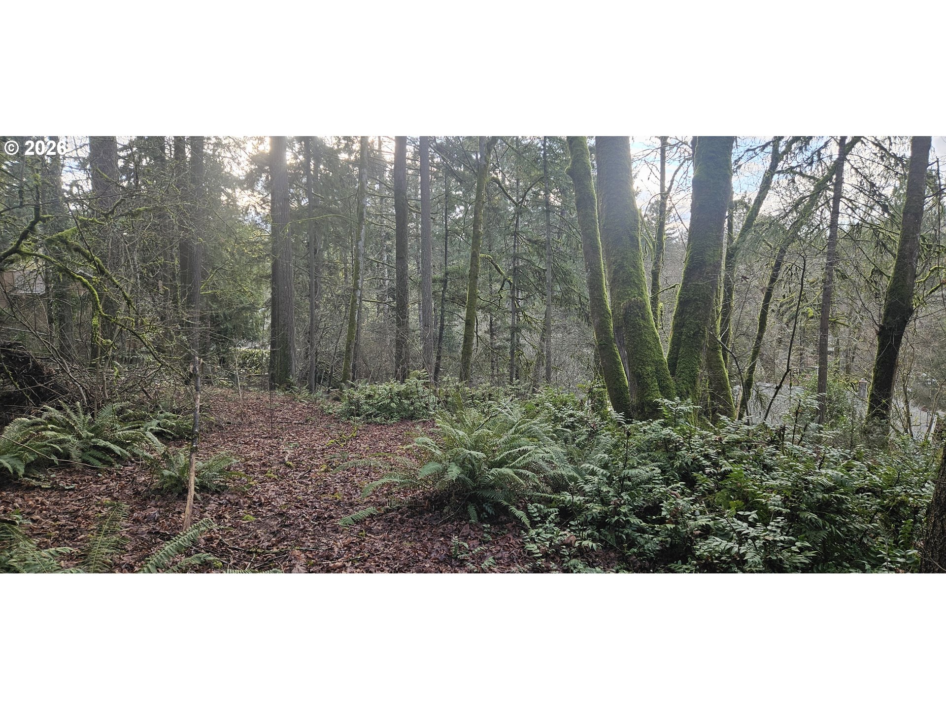 18300 BRYANT RD, Lake Oswego, OR, 97034