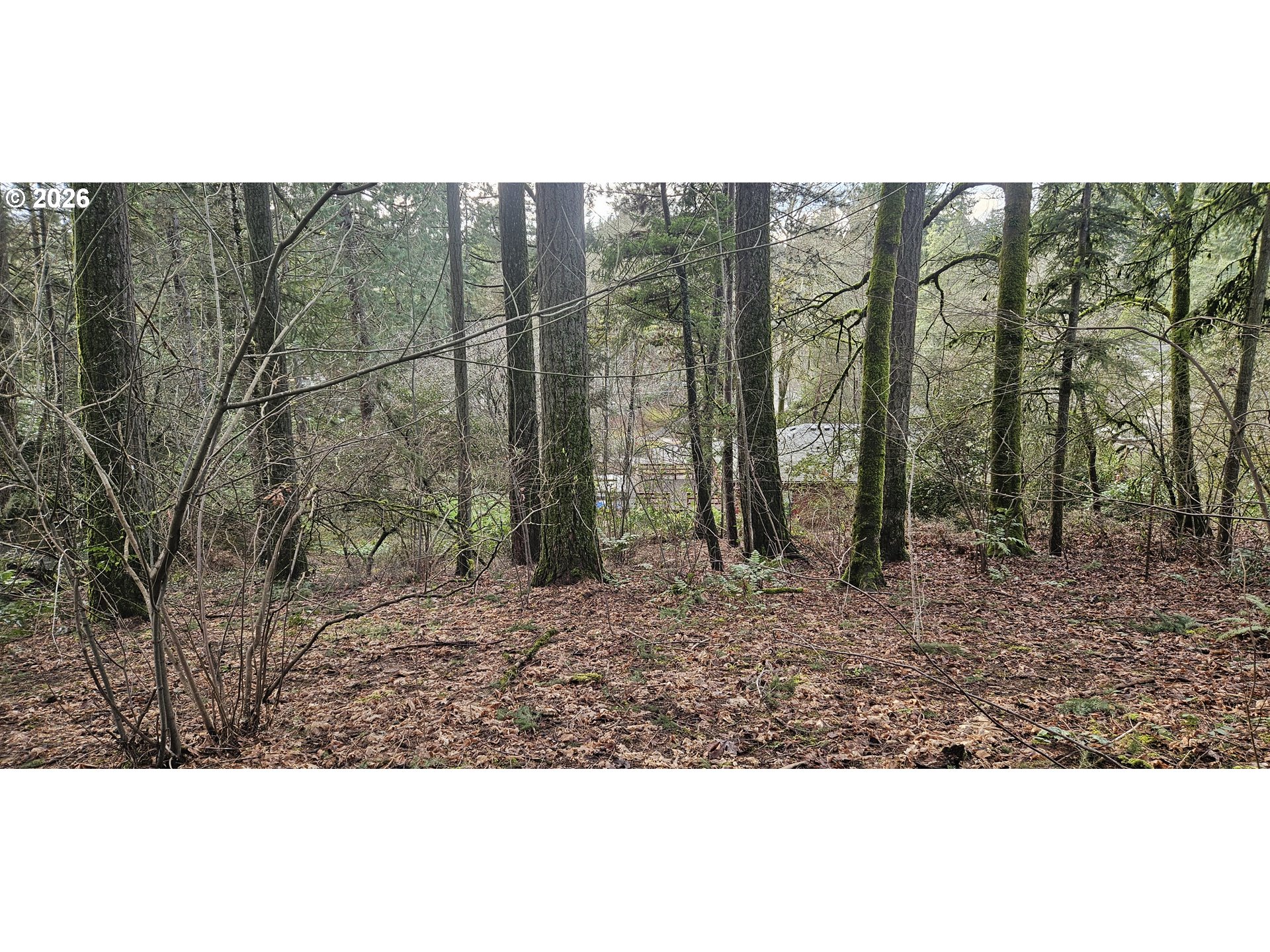 18300 BRYANT RD, Lake Oswego, OR, 97034