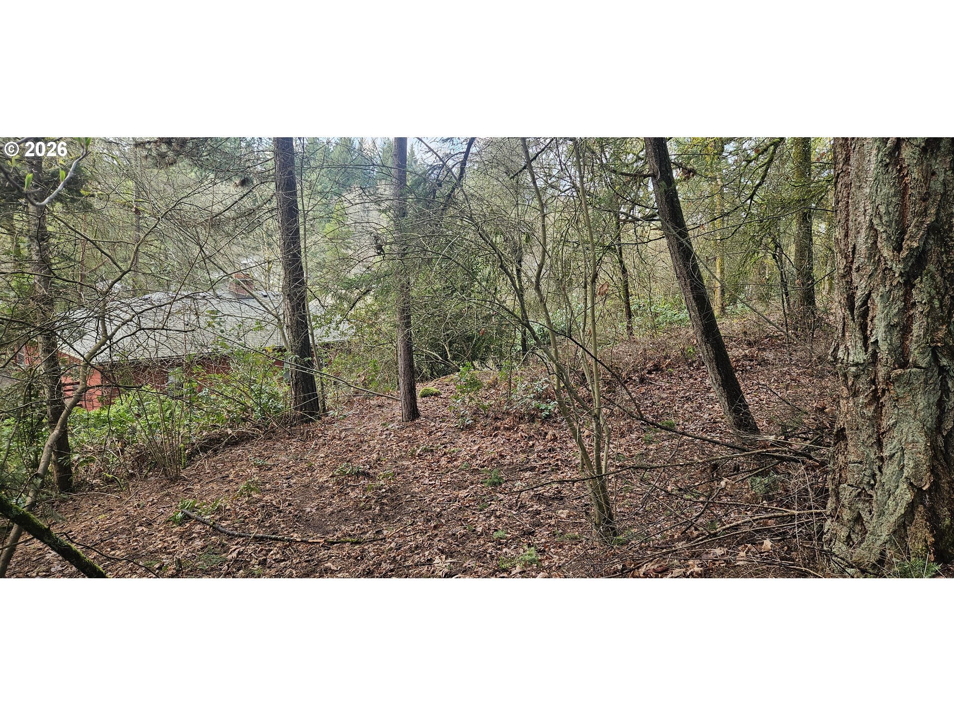 18300 BRYANT RD, Lake Oswego, OR, 97034