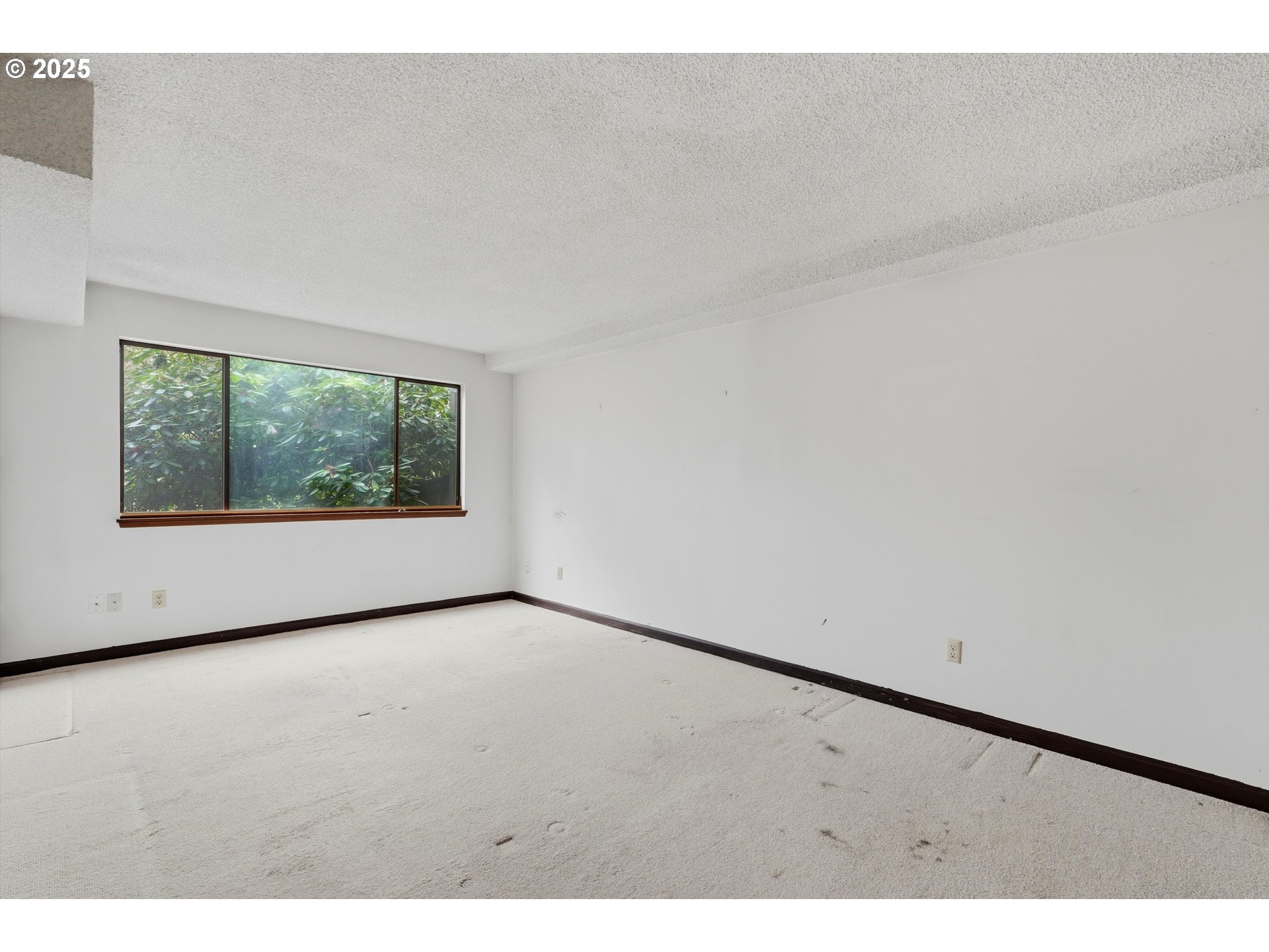 Photo #12: 136656997 Listing: Photo #12