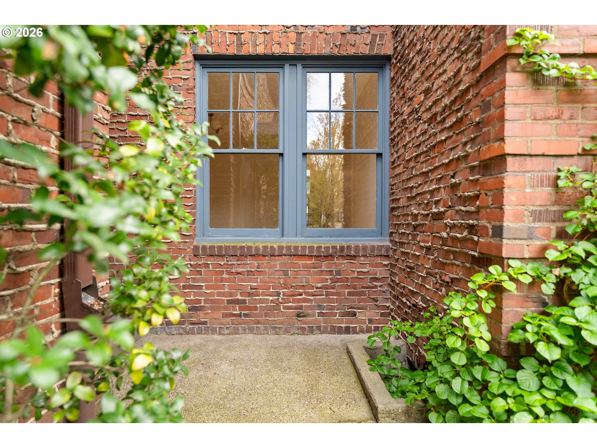 Photo #3: 137442617 Listing: Photo #3