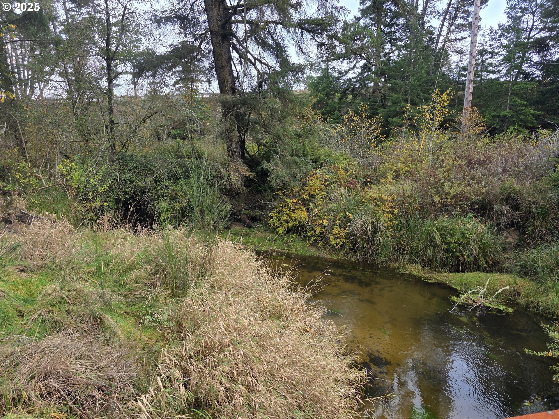 0 Sherry Barbie LN, Lakeside, OR, 97449