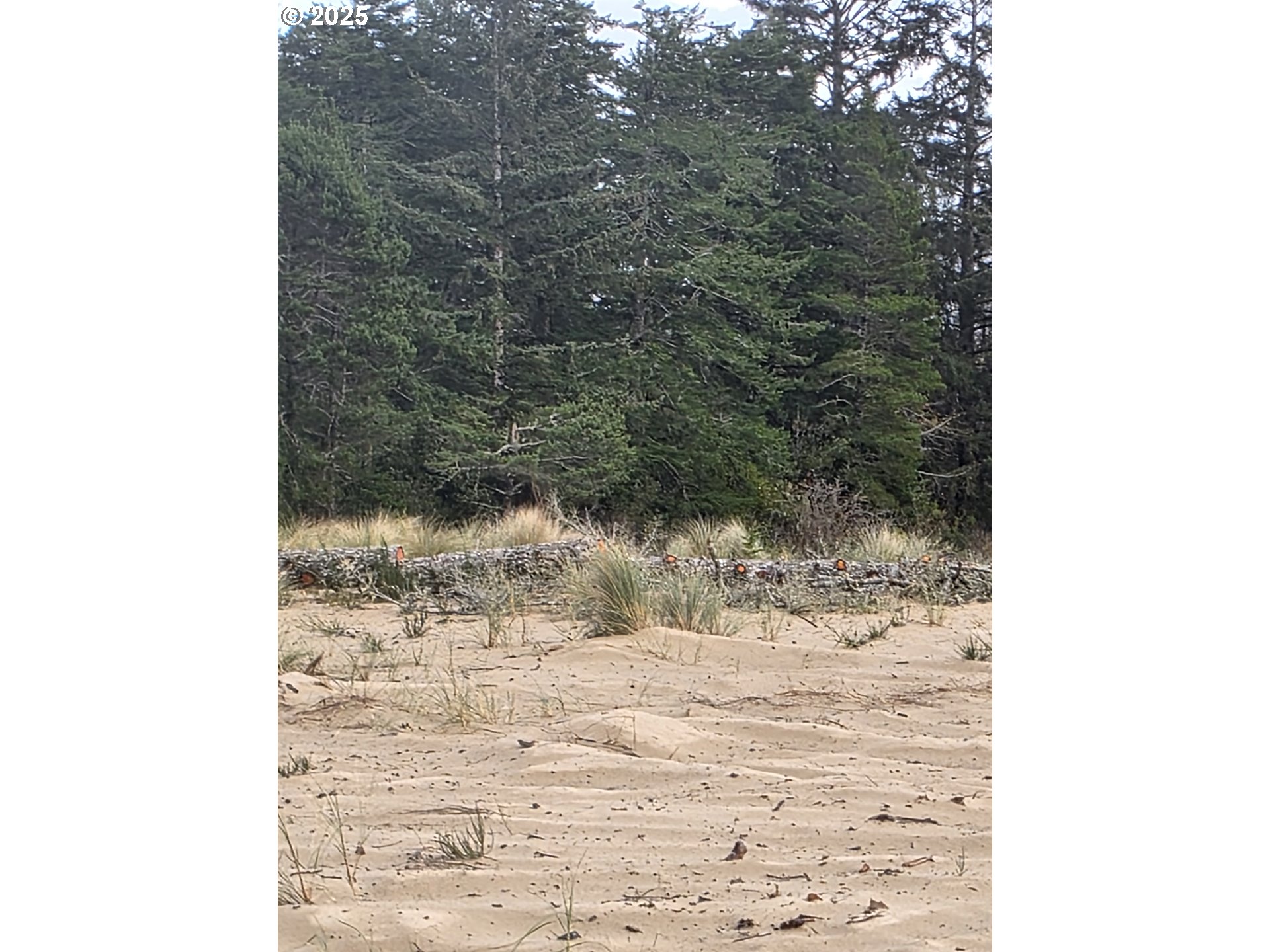 0 Sherry Barbie LN, Lakeside, OR, 97449