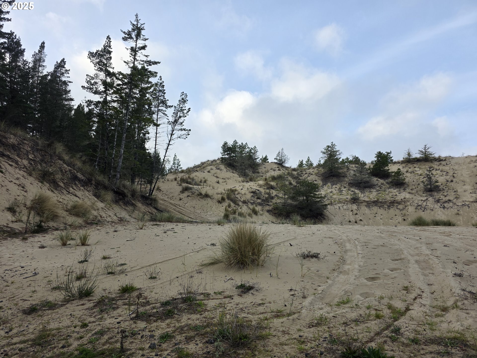 0 Sherry Barbie LN, Lakeside, OR, 97449