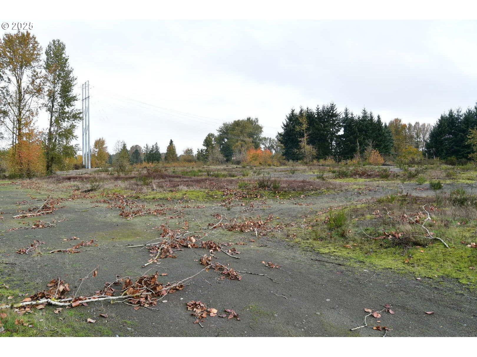 S River RD, Kelso, ,Land,For Sale,River,0,139272942