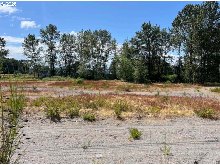 S River RD, Kelso, ,Land,For Sale,River,0,139272942