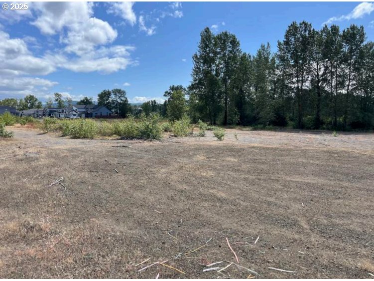 S River RD, Kelso, ,Land,For Sale,River,0,139272942