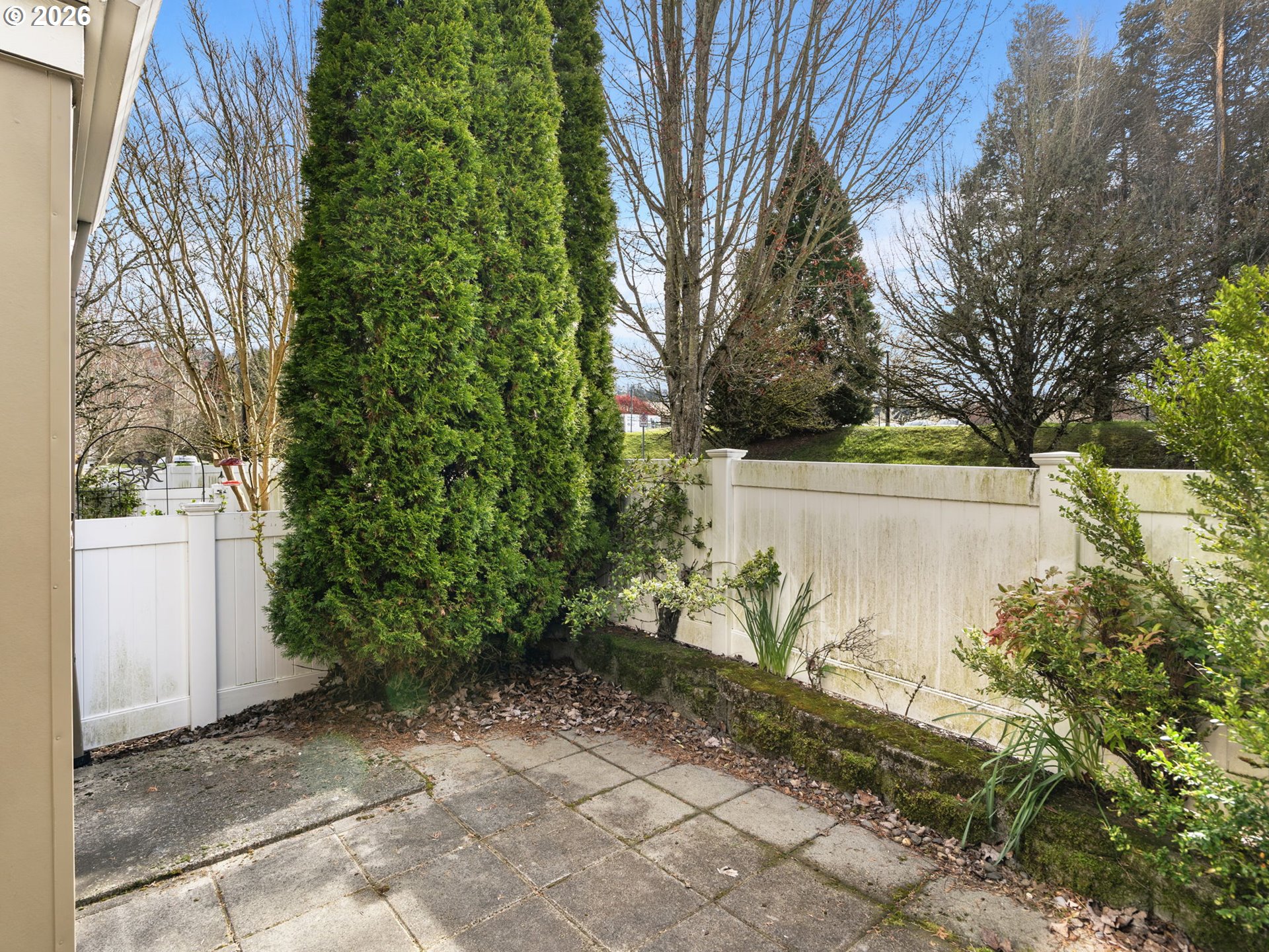 Photo #15: 141280157 Listing: Photo #15