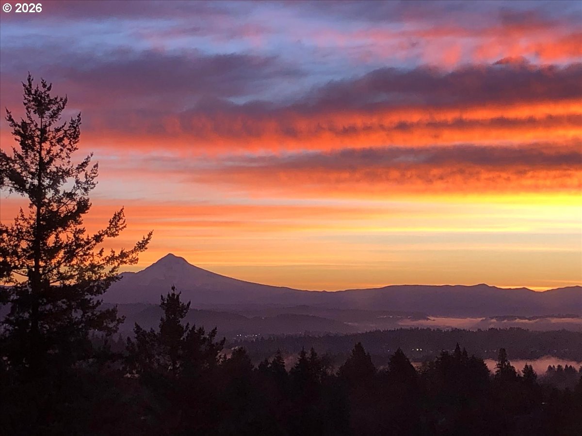 Photo #41: 141321810 Listing: Photo #41