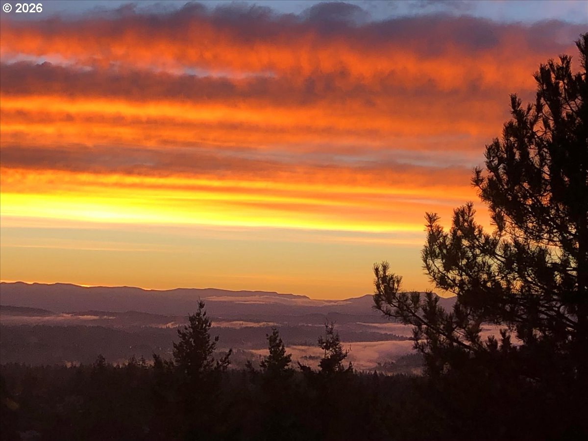 Photo #42: 141321810 Listing: Photo #42