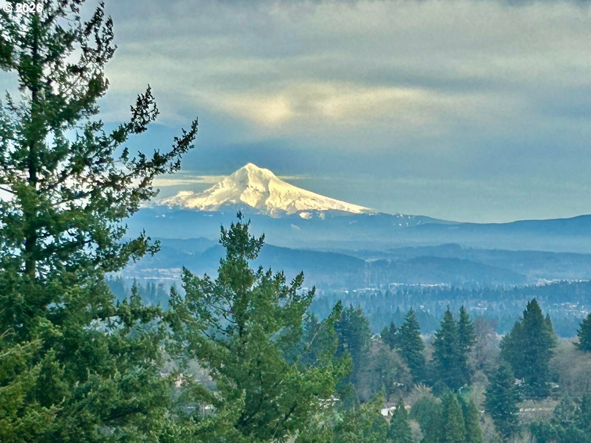 Photo #46: 141321810 Listing: Photo #46