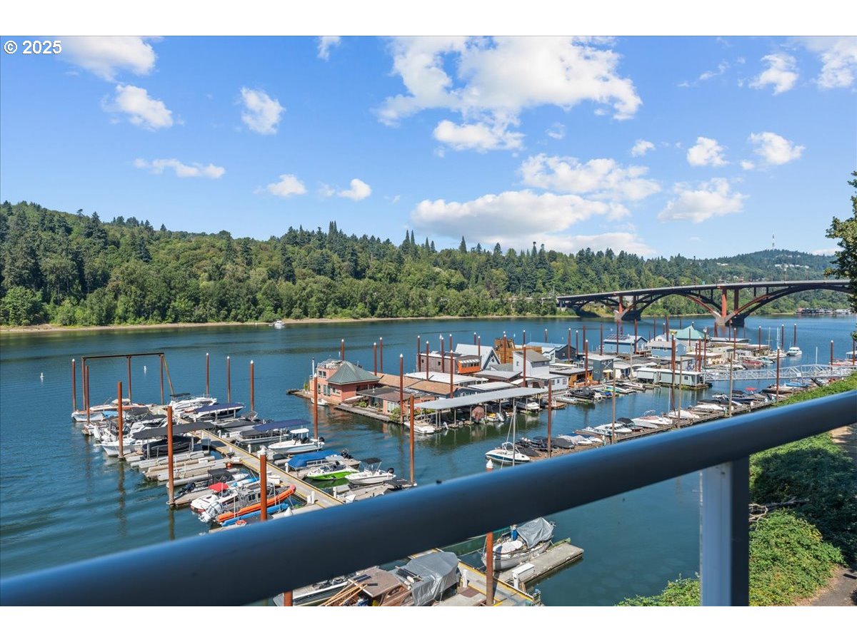 Photo #37: 142982210 Listing: Photo #37