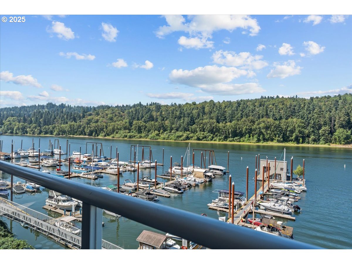 Photo #40: 142982210 Listing: Photo #40