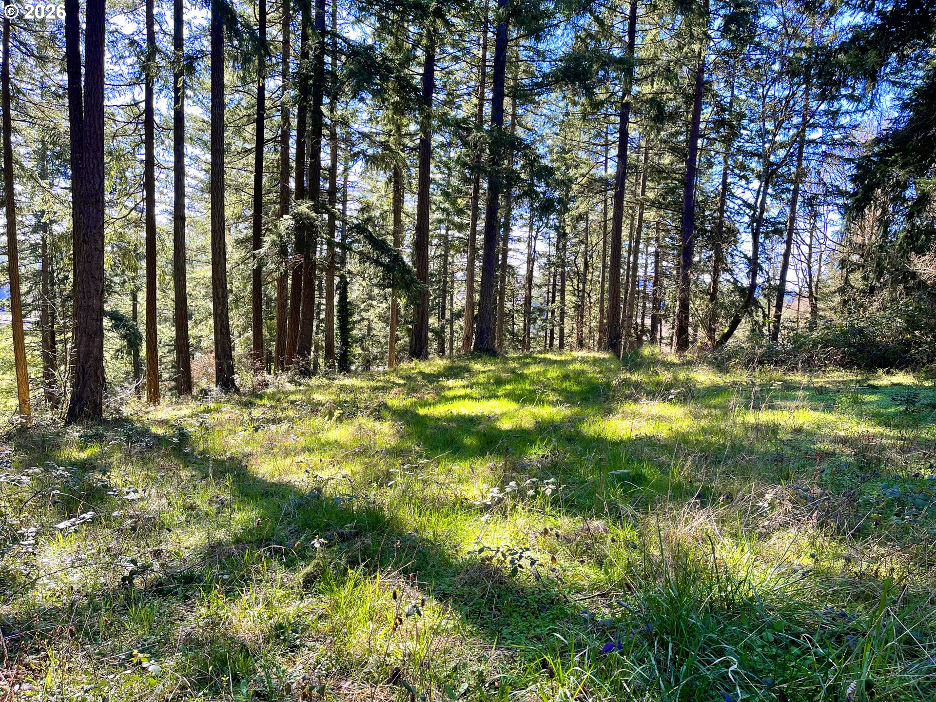 29358 S SALO RD, Mulino, OR, 97042