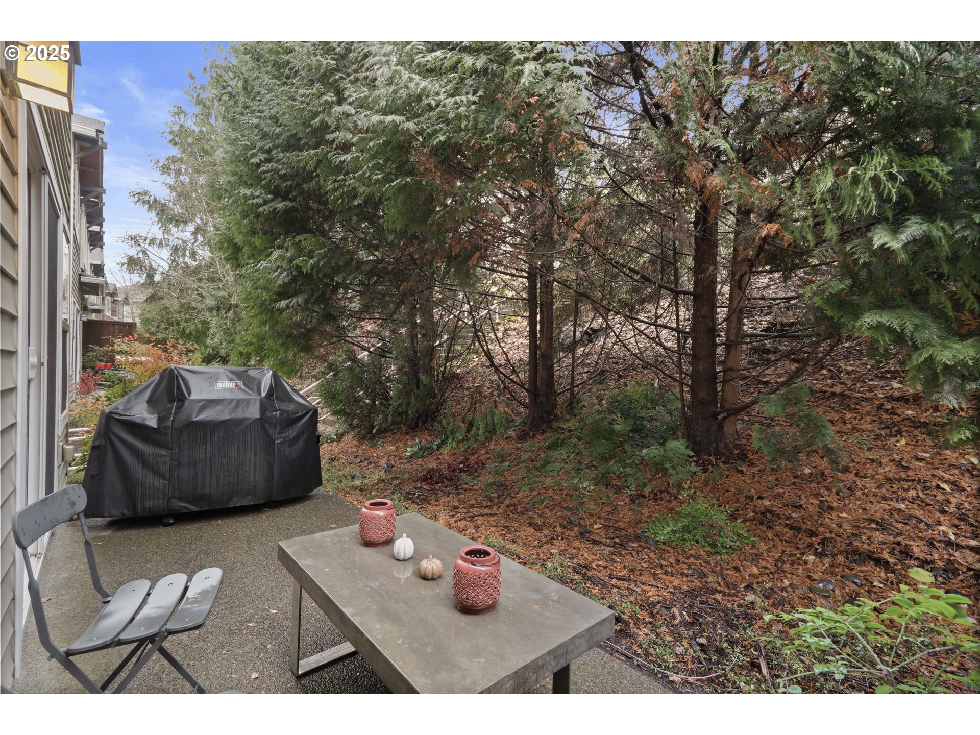 Photo #40: 145341619 Listing: Photo #40