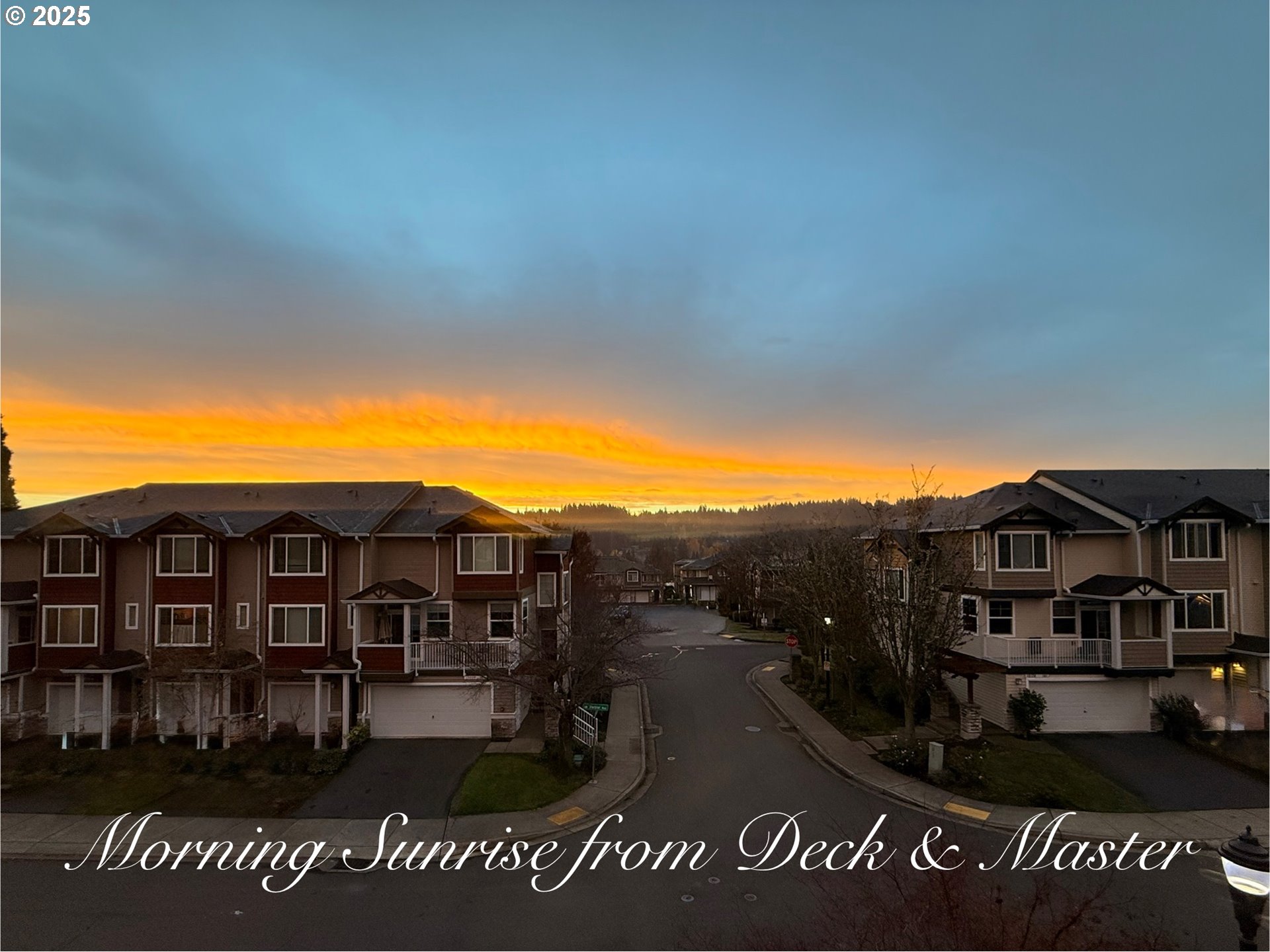 Photo #47: 145341619 Listing: Photo #47